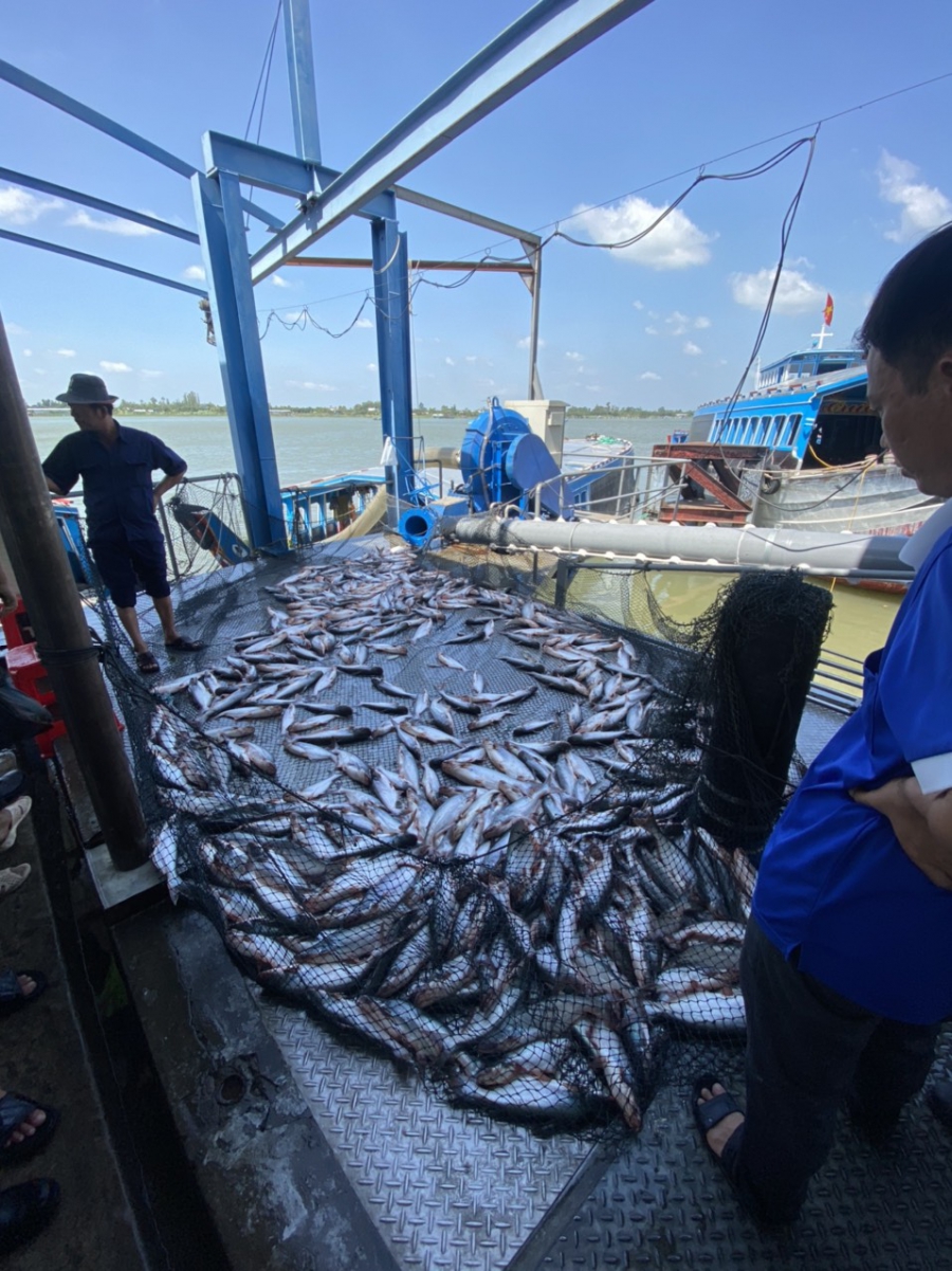 MÁY BƠM CHUYỂN TÔM CÁ TS