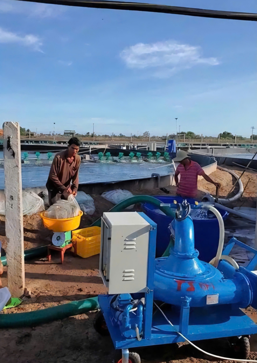 MÁY BƠM CHUYỂN TÔM CÁ TS