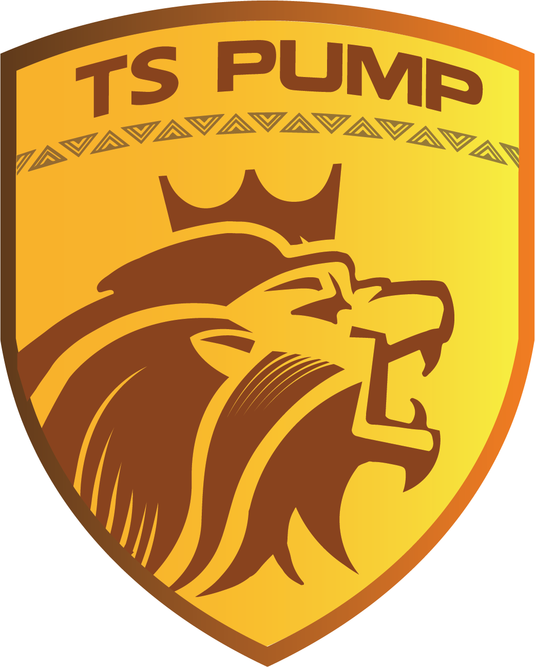 TS Pumps